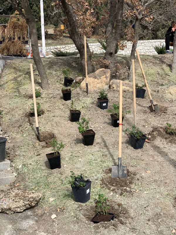 работы по озеленению