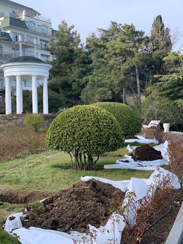 ландшафтный дизайн