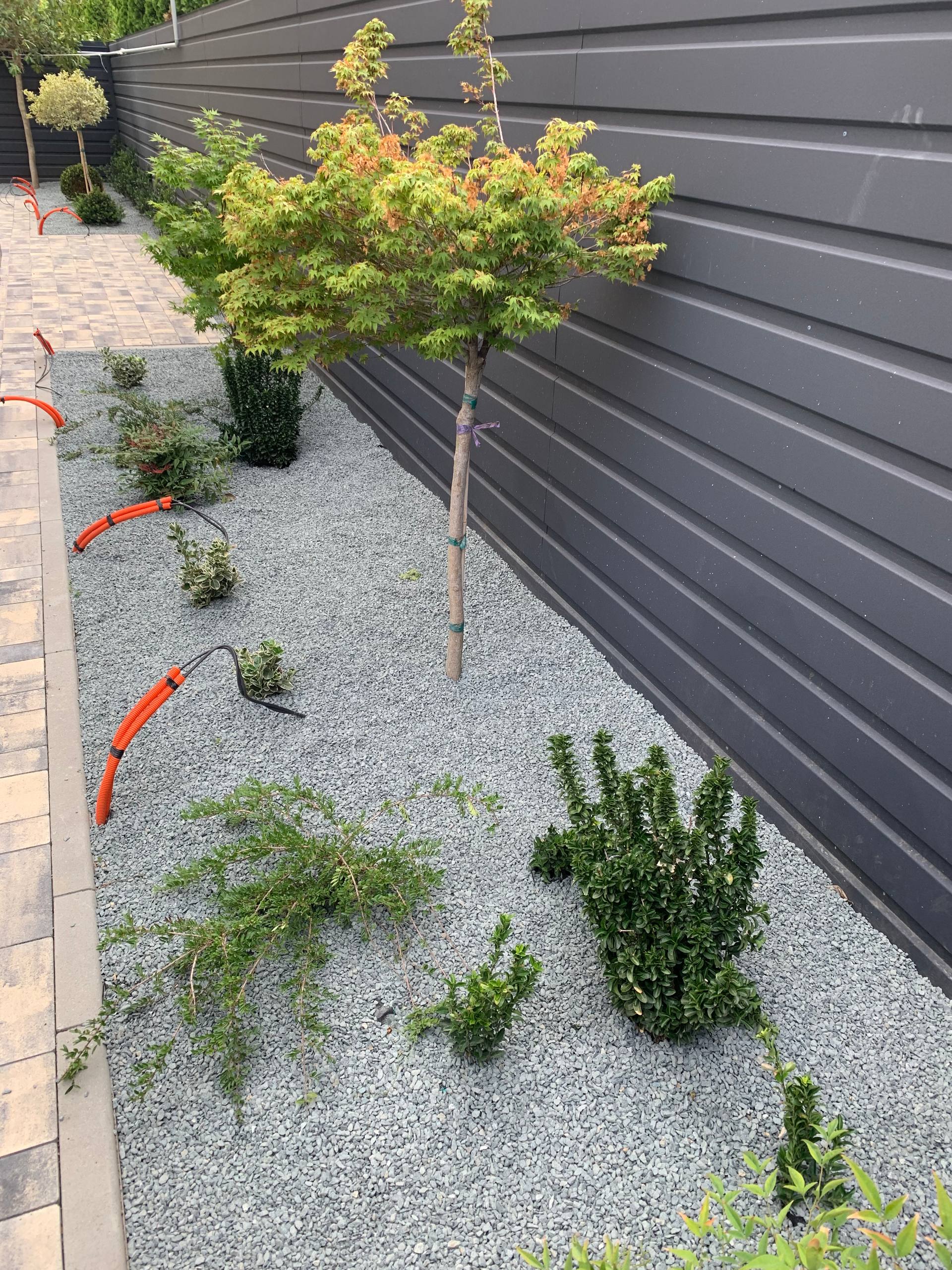 зеленые насаждения