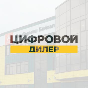 Тимбермаш цифровой диллер