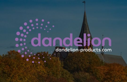Dandelion Калининград