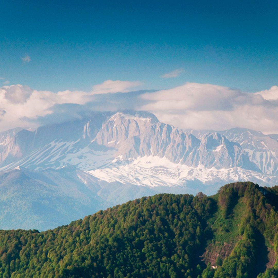 Сочи, г.Сахарная и вид на массив г.Фишт