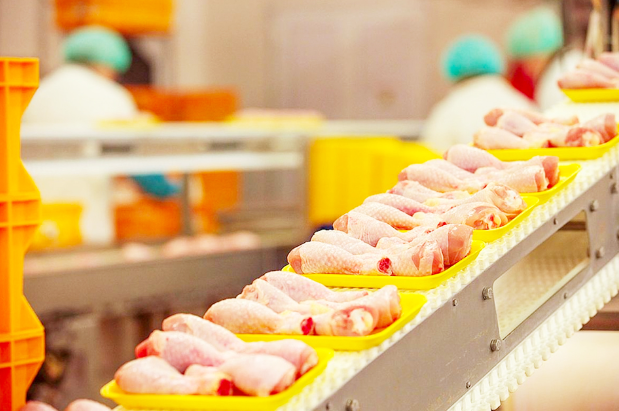 Переработка мяса, птицы и рыбы