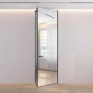 Скрытая дверь с зеркалом