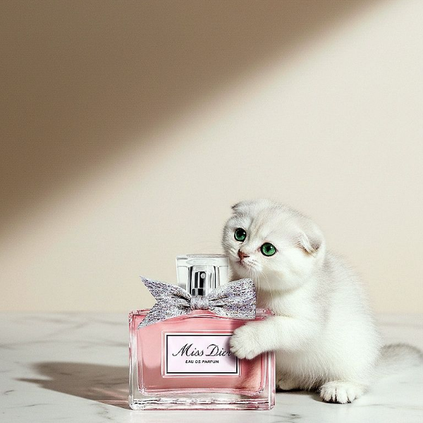 Рекламный контент и инфографика для маркетплейсов на основе нейросетей. Создание продающих карточек товара в студии НИНДЗЯ ГРАФ