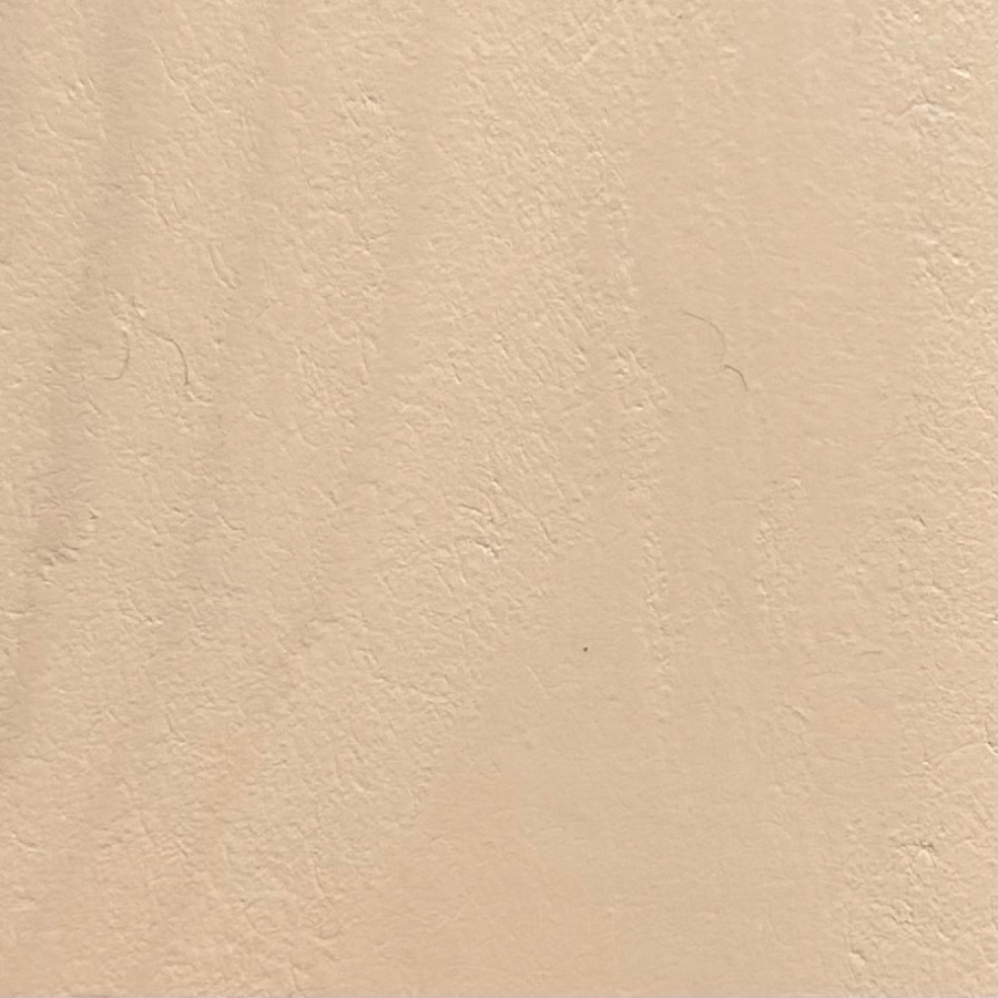 дуб белёный