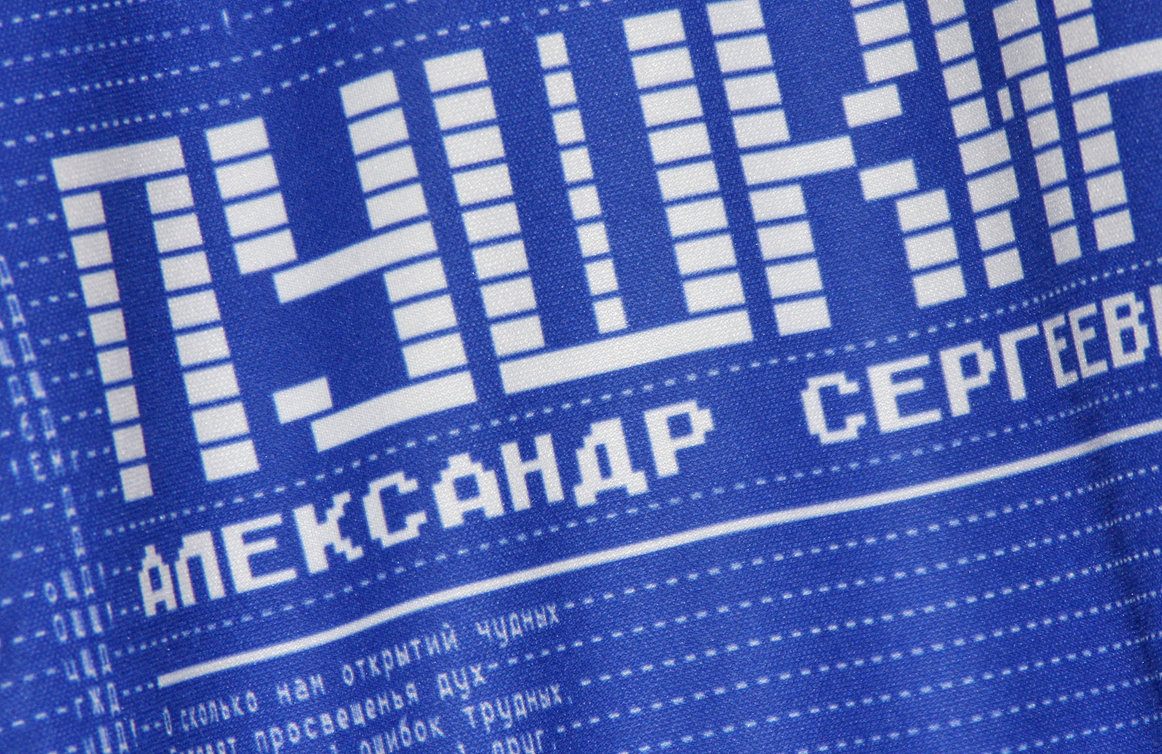 Фото свитшота с принтом «Пушкин в берёзовой роще»