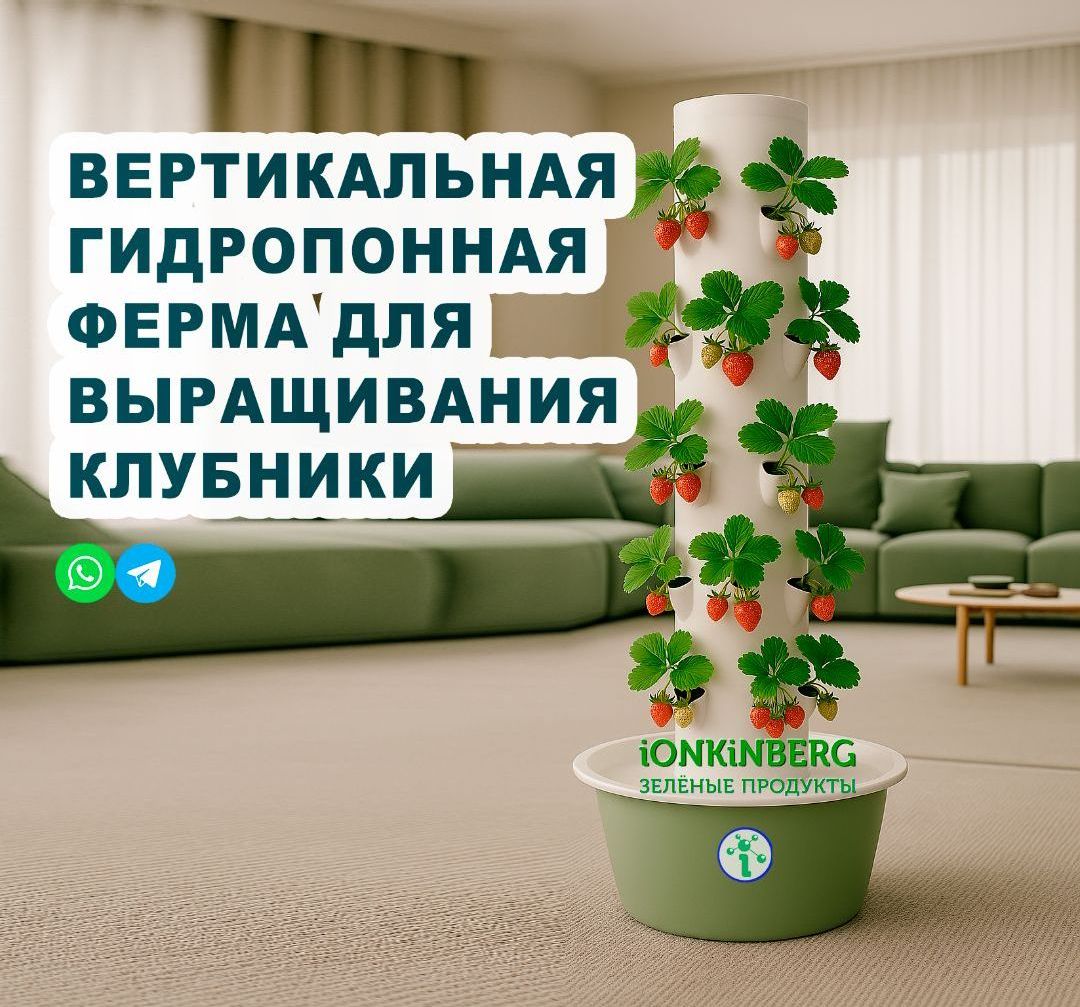  как выращивать зелень дома без почвы новая теплица для зелени в домашних условиях