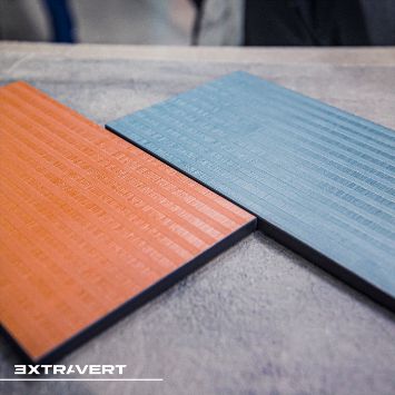 motus структура