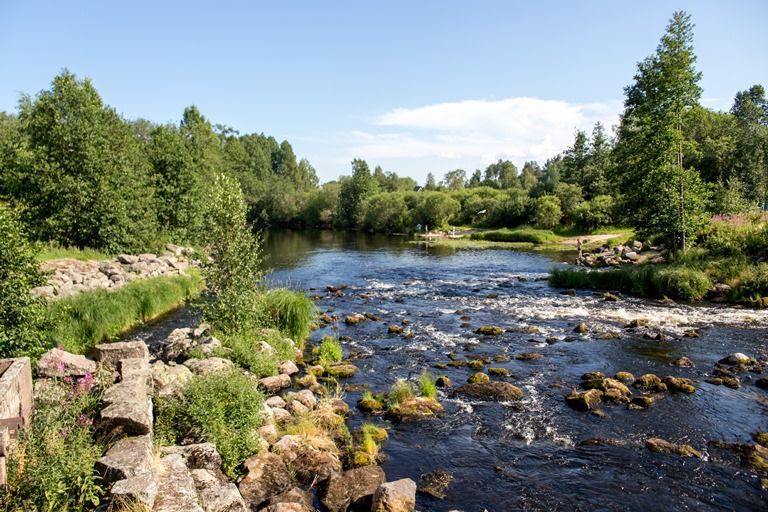 Пороги около мельницы