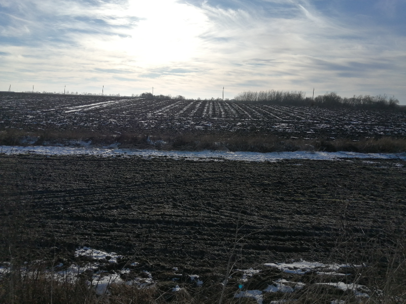 Белгородская обл., Губкинский район