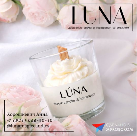 Участник «Сделано в Жуковском» – LUNA!