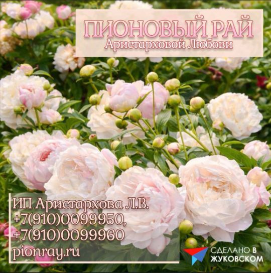 Новый участник «Сделано в Жуковском»