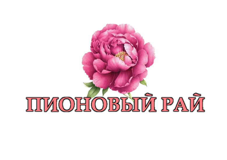 Участник "Сделано в Жуковском" - Пионовый рай