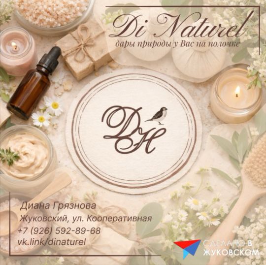 Участник «Сделано в Жуковском» –  – Di naturel!