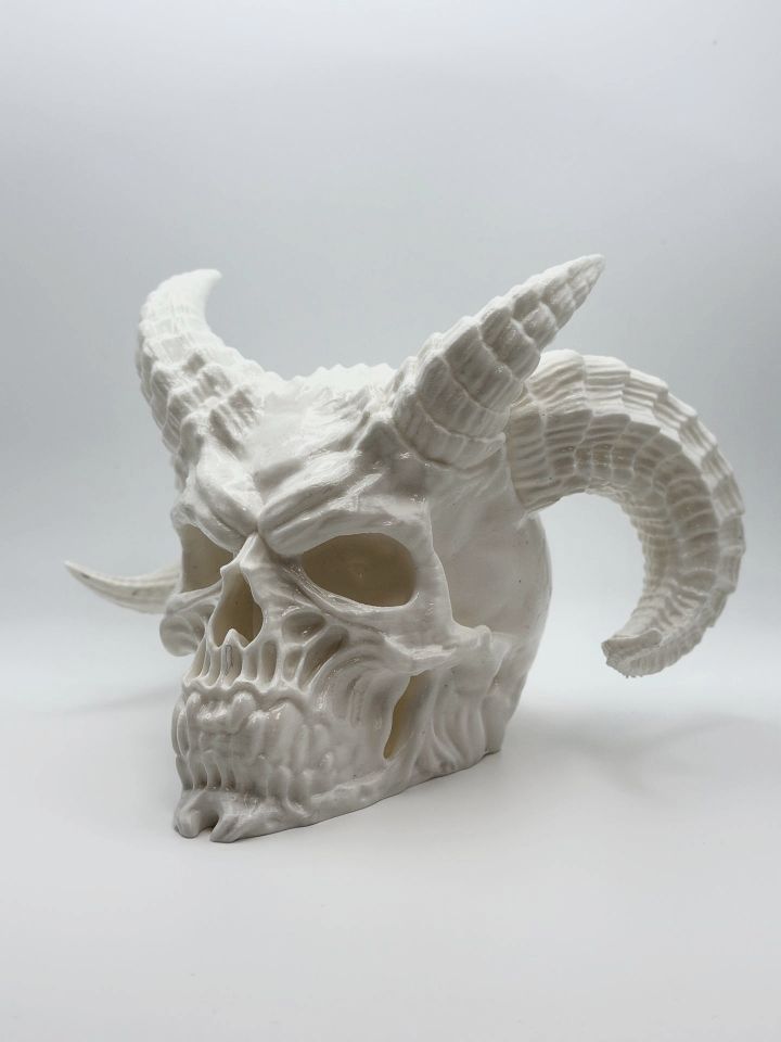 Horned Skull