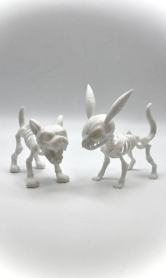 Pet Skeletons