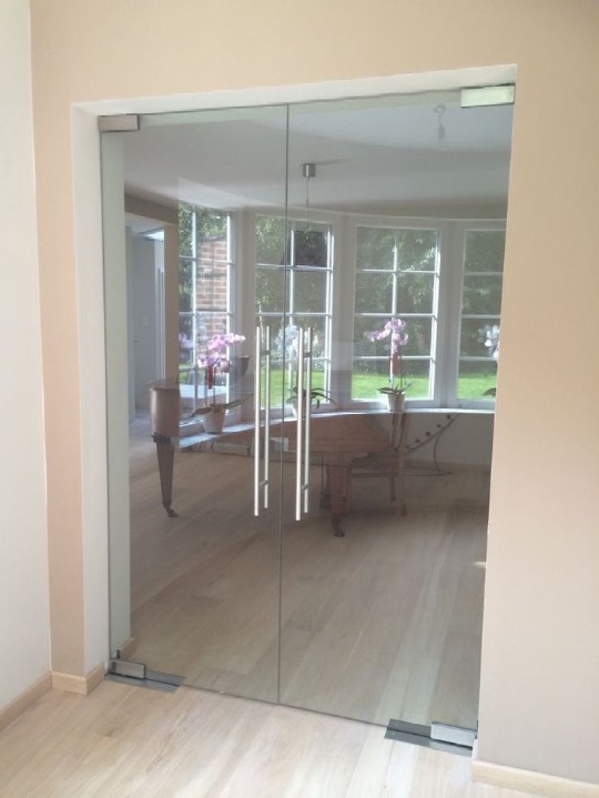 Цельностеклянная дверь