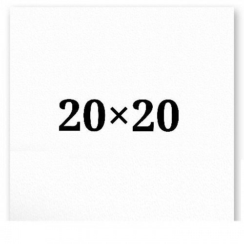 20х20см