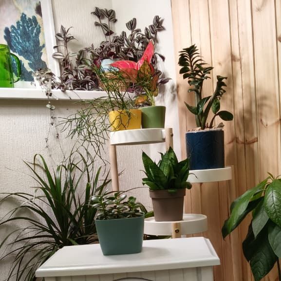 Кабинет нейропсихолога - цветной уголок