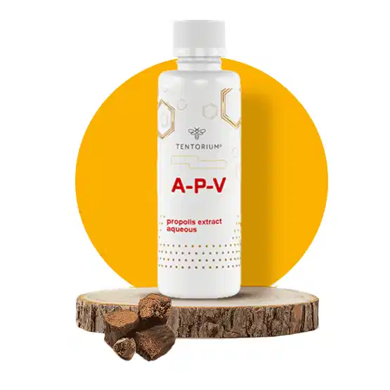 ეი-პი-ვი