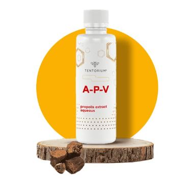 ეი-პი-ვი