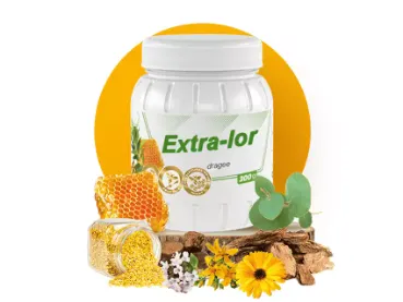 ექსტრა-ლორი