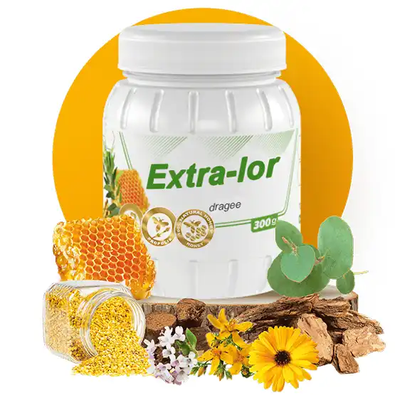 ექსტრა-ლორი