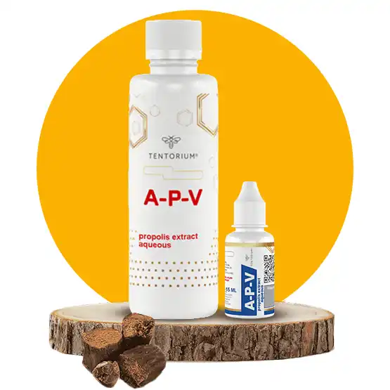 ეი-პი-ვი