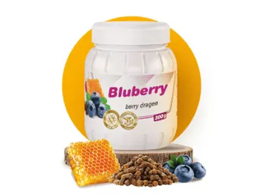 მოცვის დრაჟე