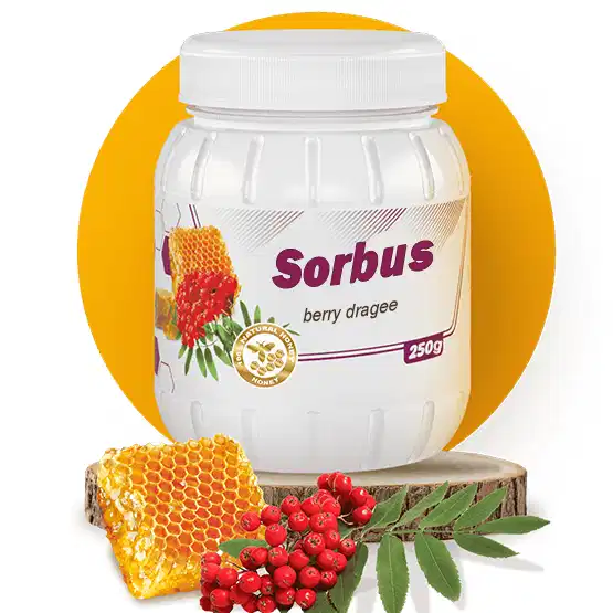 სორბუსი