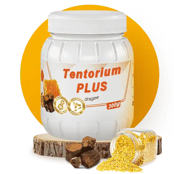 ტენტორიუმ პლიუსი