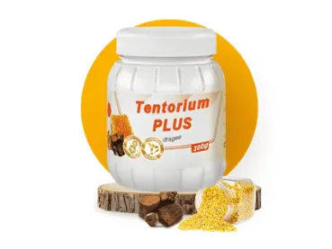 ტენტორიუმ პლიუსი