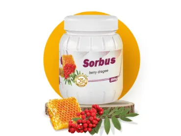 სორბუსი