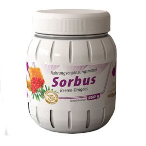 სორბუსი