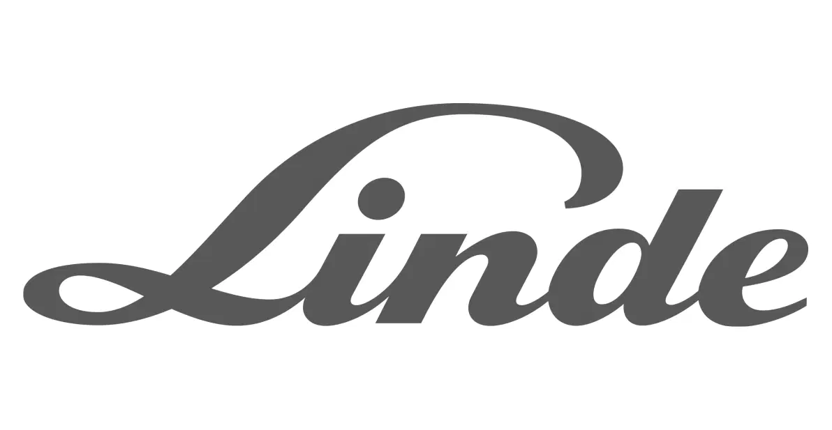 Запчасти на Вилочные погрузчики Linde