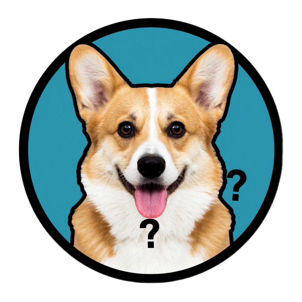 Кнопка «Получить консультацию» на сайте MaxMedia