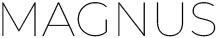 Рекламное агентство Magnus