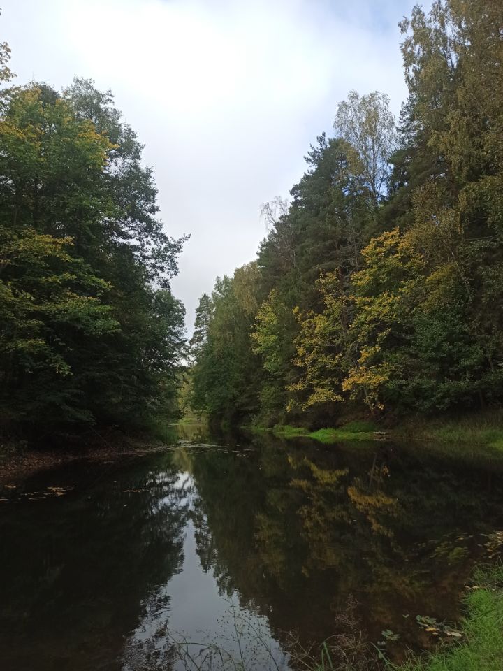 По владениям Диконького
