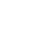 Hisense U9DG 8K resolution icon