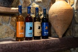 Официальный телеграм канал Patrey