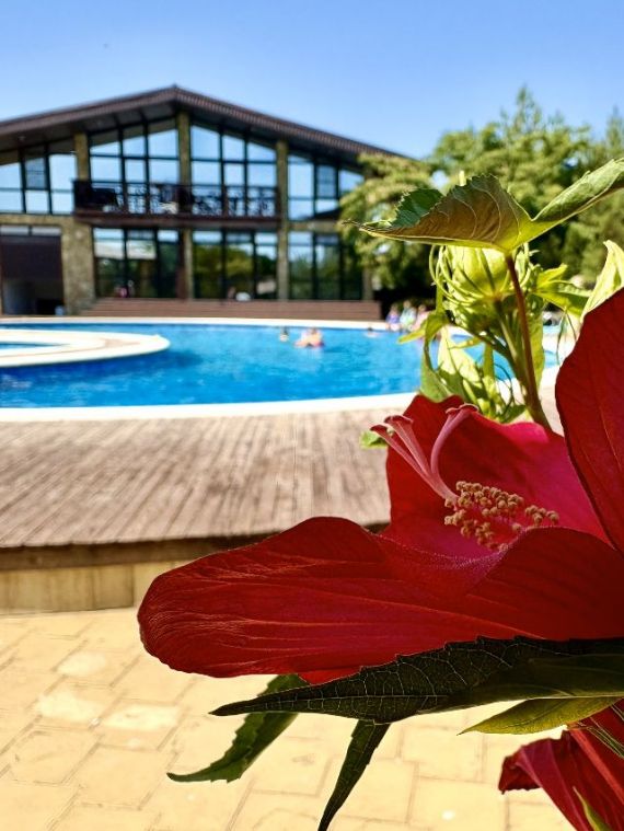 Отель на винодельне в Тамани