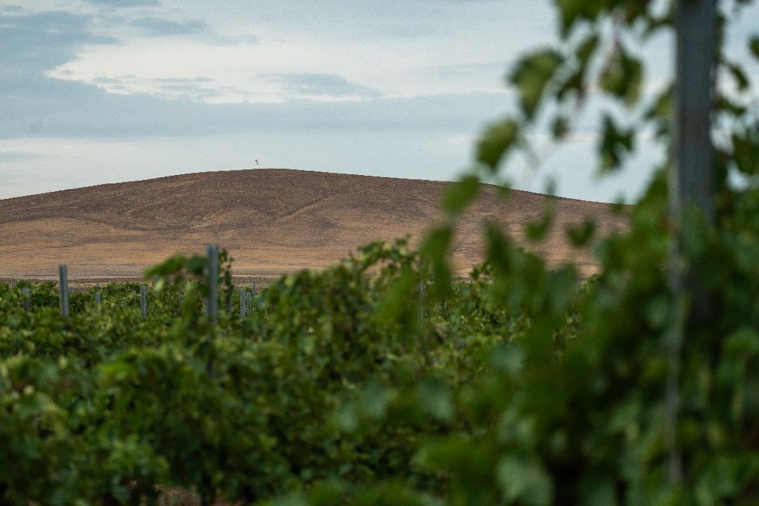 Вулкан Куку Оба около Виннодельни в Тамани