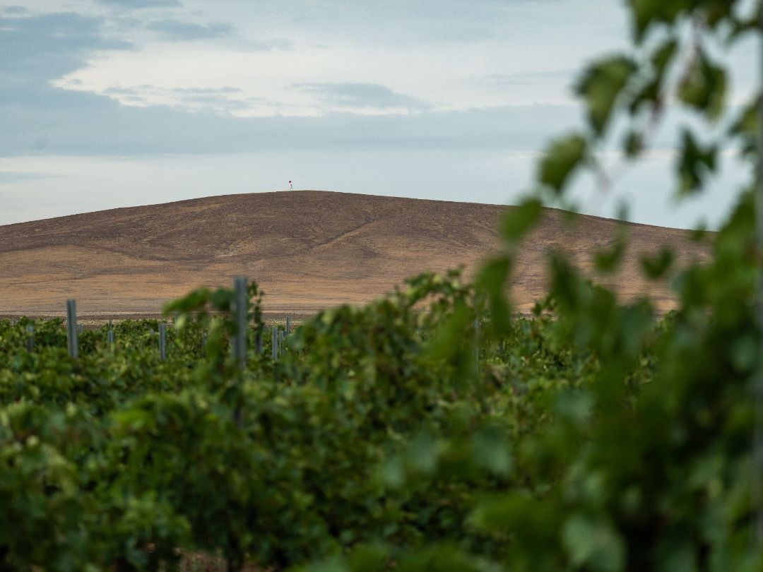 терруар Тамани вулкан Куку Оба