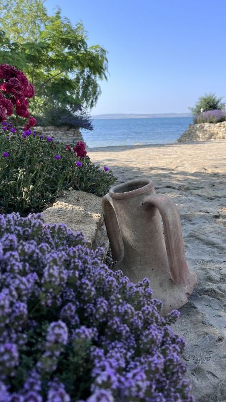 Исторические традиции виноделия в Тамани