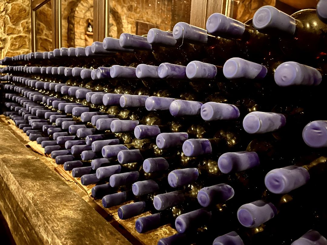 Премиум вина оптом от производителя