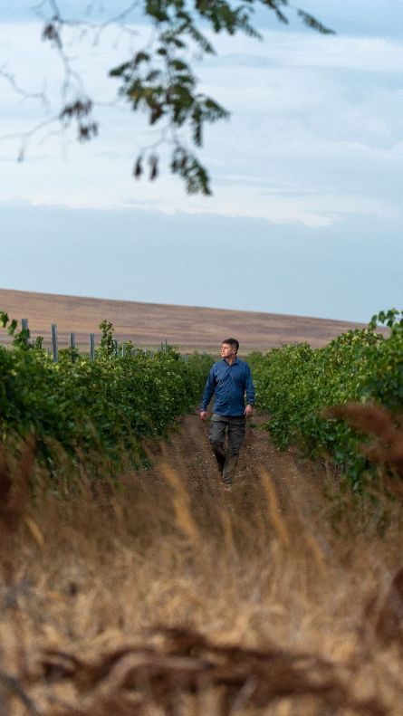 грязевой вулкан Куку-Оба (гора Горелая)