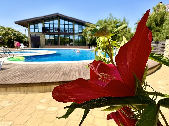 Отель с винодельней первая линия