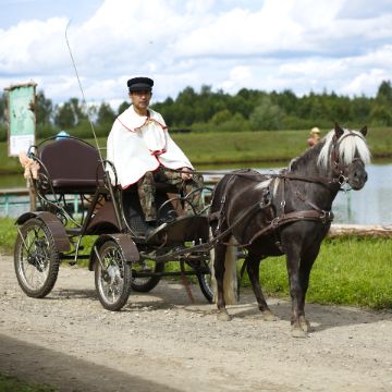 прогулка на санях с пони