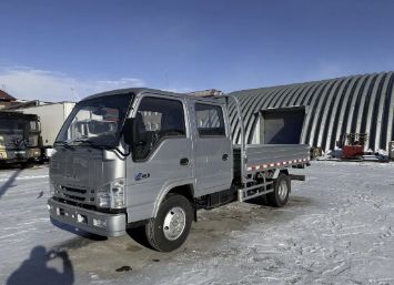 Isuzu Elf 3 тн малотоннажный